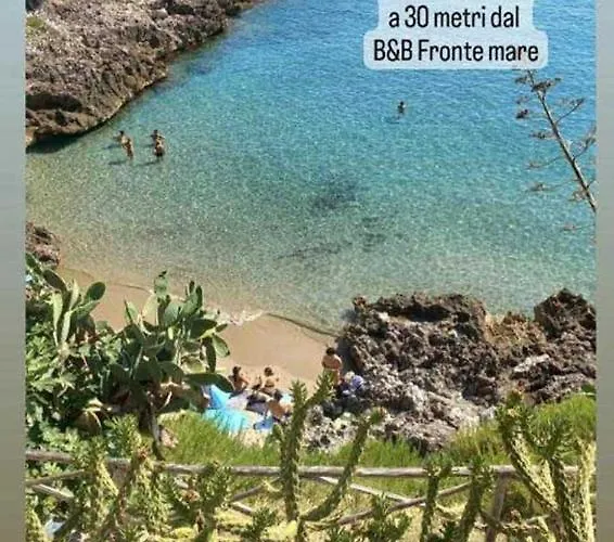 Bed and Breakfast Fronte Mare
